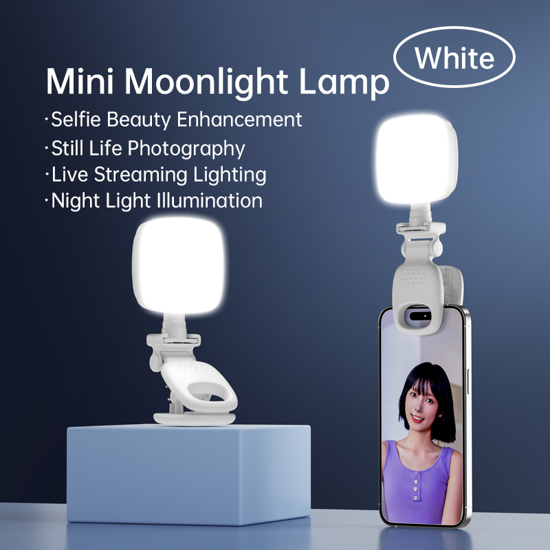 ポータブルLEDセルフィーライトカメラミニフィルライト充電式 - Photography Lighting Accessories のレビューと価格