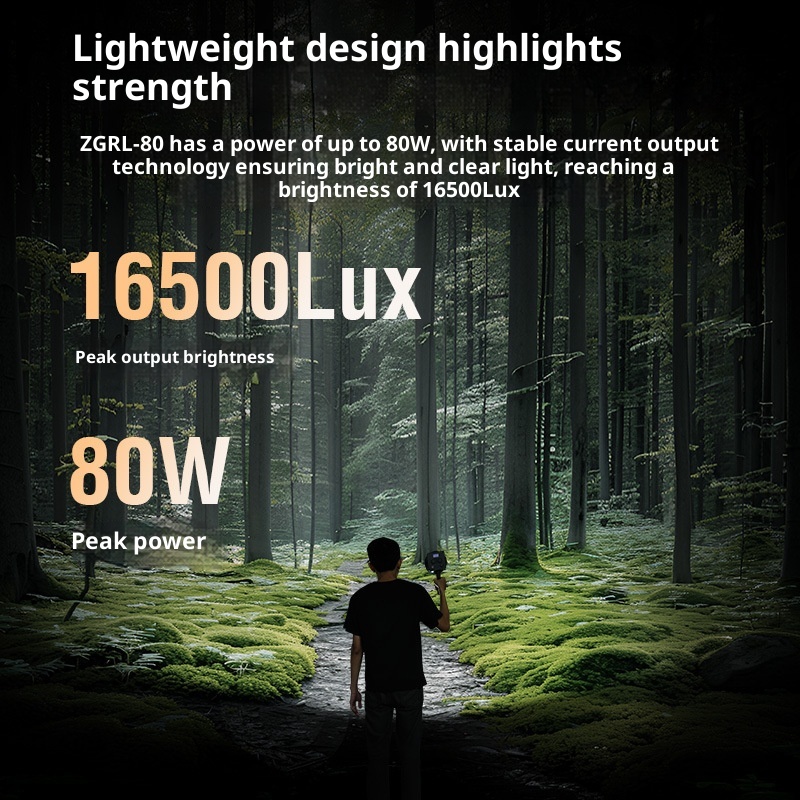 ZGRL80 80W COB LEDビデオライト ハンドヘル - Photography Lighting System のレビューと価格