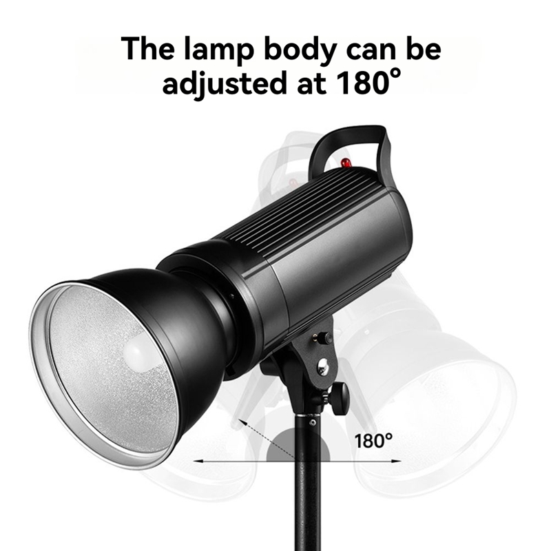 スタジオフラッシュブラケット用 SK300 SK300II  - Lighting In Photography のレビューと価格